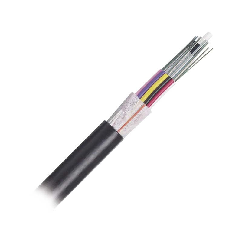 FOTNZ12 FOTNZ12