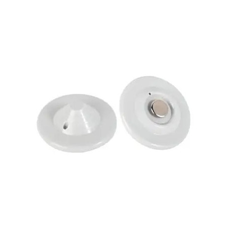 T004