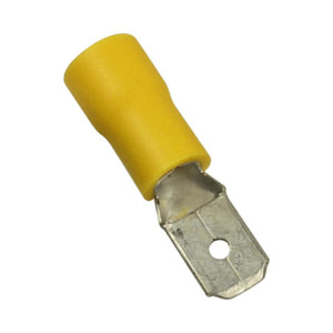 AE55121