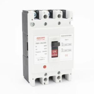 FEM11253P100A