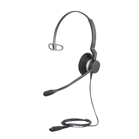 BIZ-2300-MONO-QD