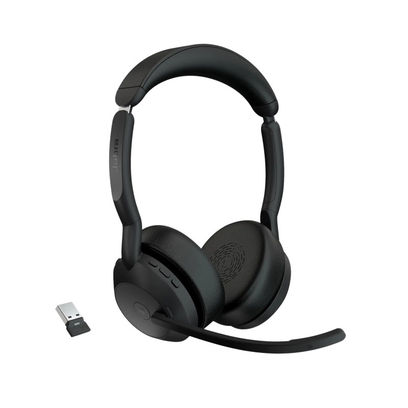 EVOLVE255STEREOMSA EVOLVE255STEREOMSA