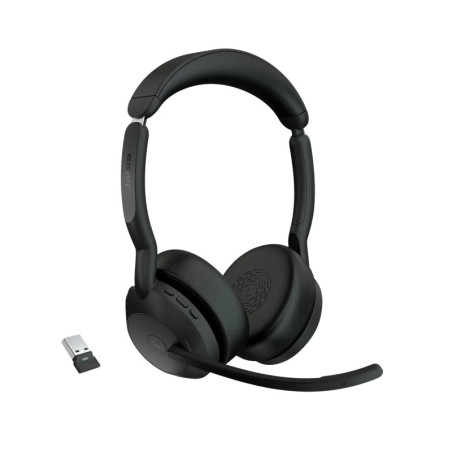 EVOLVE255STEREOMSA