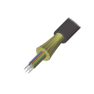 9GD5H006D-T501M