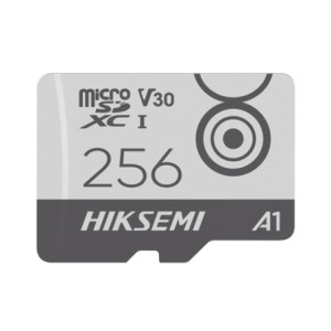 HS-TF-M1/256G