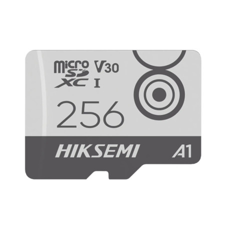 HS-TF-M1/256G