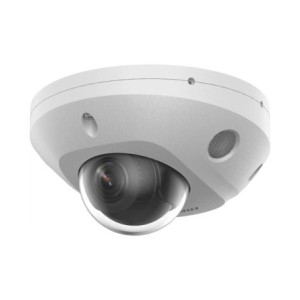 DS-2CD2543G2-LIS2U