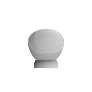 CS-T1C