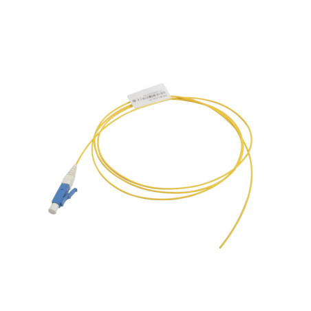 FP1B-LCUL-01