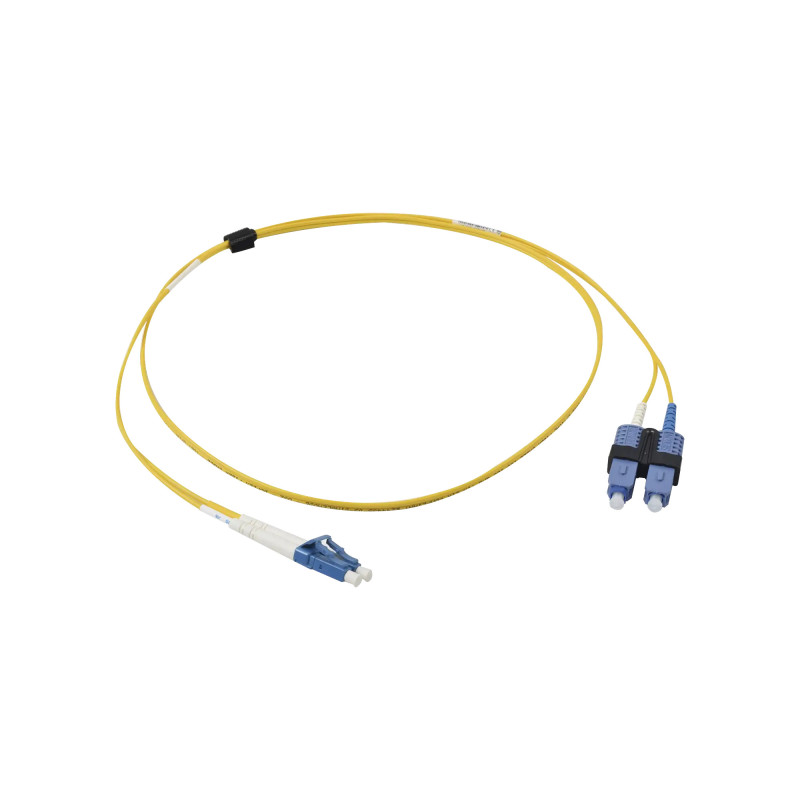 FJ2-LCUSCUL-01 FJ2-LCUSCUL-01