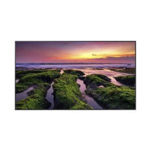 Pantalla Profesional LED de 65in, UHD 4K 3840