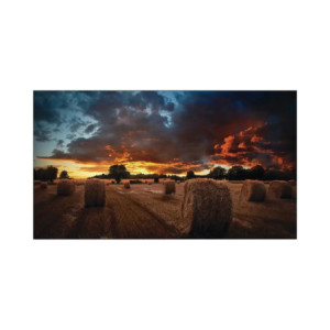 Pantalla Profesional LED de 55in para Video W