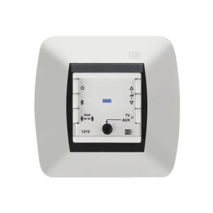 Mando Bluetooth - Entrada AUX-TV - Amplificad