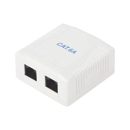 Caja de pared con 2 puertos, incluye 2 jacks