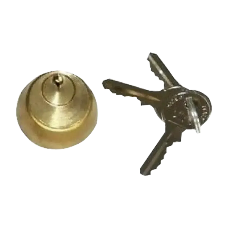 CILINDRO INTERNO PARA ELECTROCHAPA NO. 3 FAAC 7126