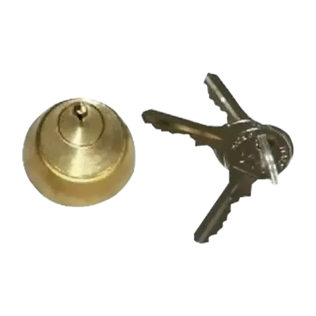 CILINDRO INTERNO PARA ELECTROCHAPA NO. 3 FAAC 7126