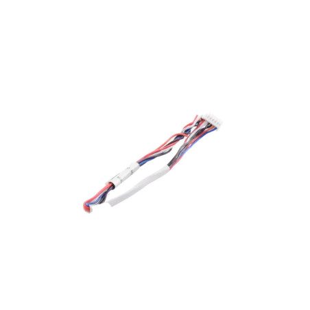 Arnes de Salida de Alarma de  20 cm - Compati