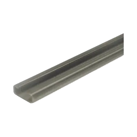 Riel tipo CCompatible con motor ACCESSFORCE  y FS1