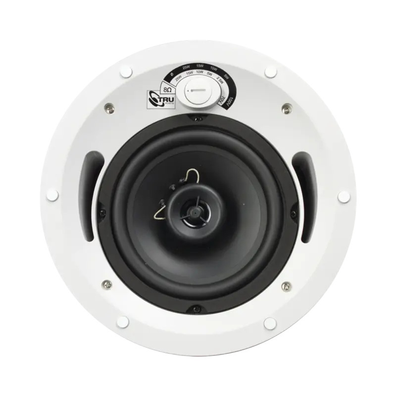Altavoz comercial de 2 vías - 70V -100V - 8 O Altavoz comercial de 2 vías - 70V -100V - 8 O