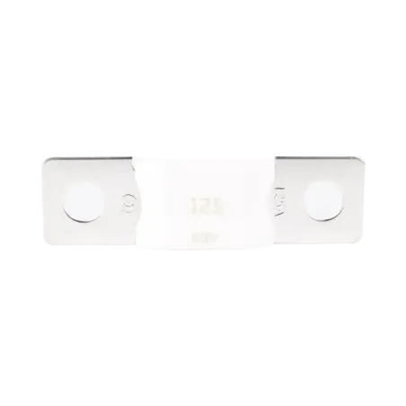 Mega Fuse 125A80V