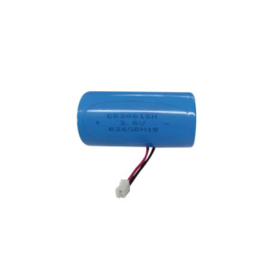 Bateria de 36V a 19Ah