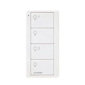 Control remoto PICO 4 botones  2 grupos de en