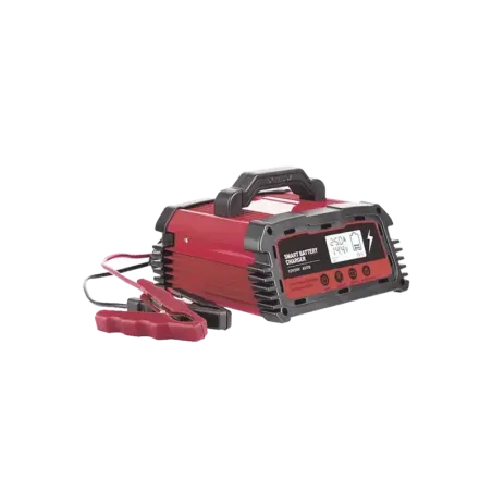 Cargador de Baterías12 o 24 Vcchasta 250 Ah25 ADis