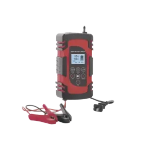 Cargador de Baterías12 o 24 Vcchasta 40 Ah2, 4 o 6