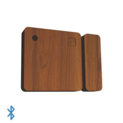 Contacto magnético inteligente inalámbrico BTpara