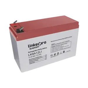 Batería de Litio 12.8 Vcc9 AhTecnología LiFePO4 /2