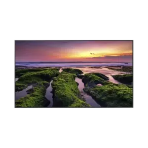 Pantalla Profesional LED de 55in, UHD 4K 3840x2160