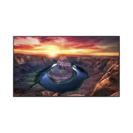 Pantalla Profesional LED de 55in, UHD 4K 3840x2160